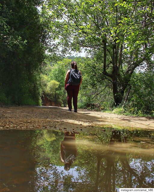 It is the wild ones who will set you free.... forest  lebanon  world ... (Marj Bisri)