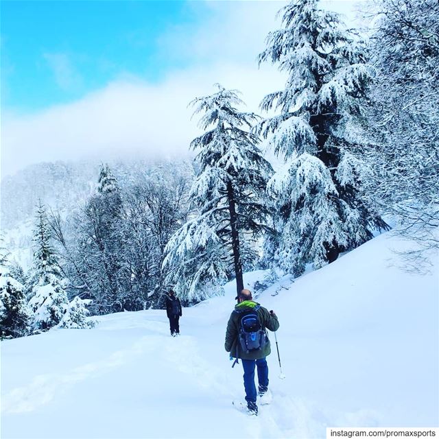 It is tomorrow Sun, Jan 20.Ehden Reserve Snowshoeing.Info WhatsApp or DM... (Ehden, Lebanon)