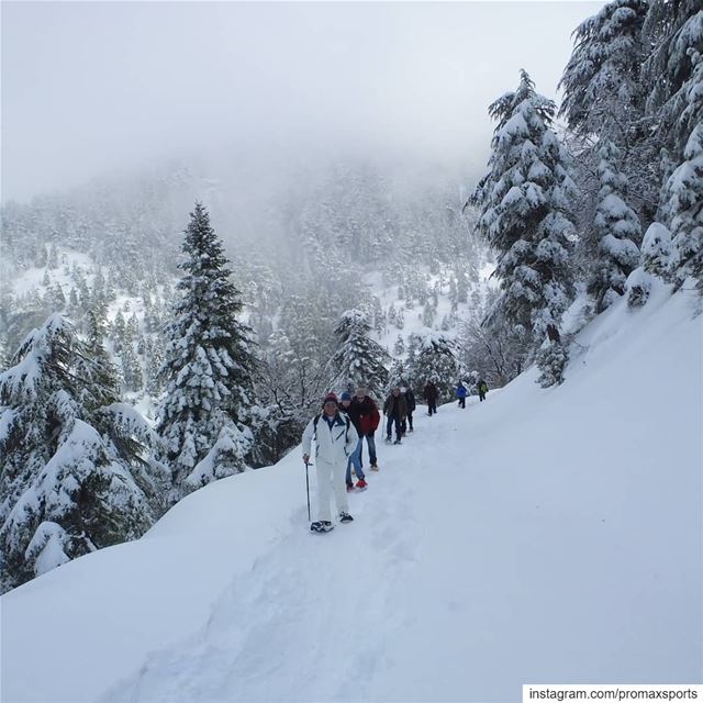 It is tomorrow Sun, Jan 20.Ehden Reserve Snowshoeing.Info WhatsApp or DM... (Horsh Ehden)