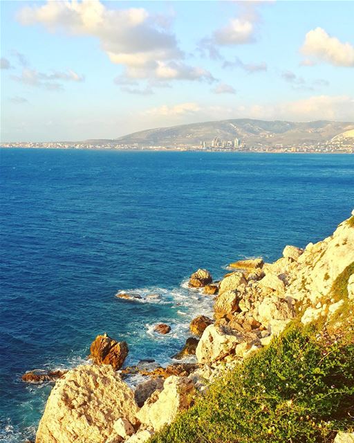 It is up to us to see the beauty of everyday things 🌾 naturelovers ... (Lebanon)