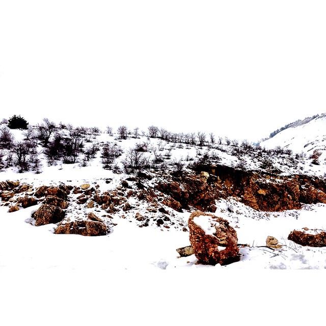 It is white  snow  lebanon  kfardebien  wearelebanon  proudlylebanese ...