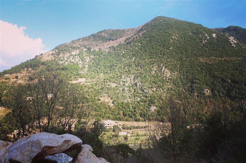 It's a Beautiful Day! JabalMoussa  unesco  biospherereserve  biodiversity... (Jabal Moussa)