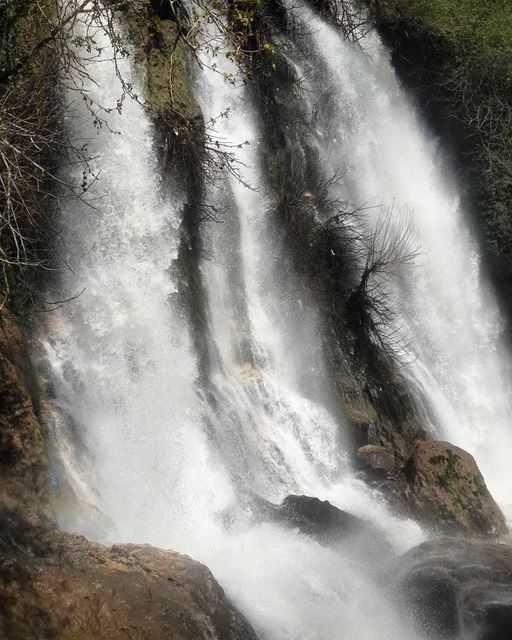 It's a crazy world out there be curious!! mylebanon   girlswhohike ...