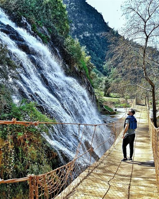 It's a jungle out there! 🌿..... beautifuldestinations  places_wow ... (Ouyoun El Samak Waterfalls)