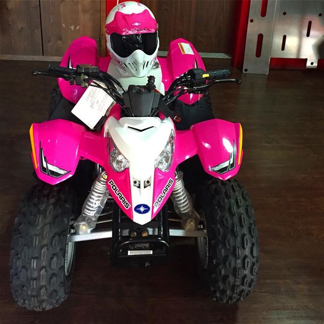 It's a Pink kind of a day 💖  polarislebanon  polaris  rzr  rzr2017 ...