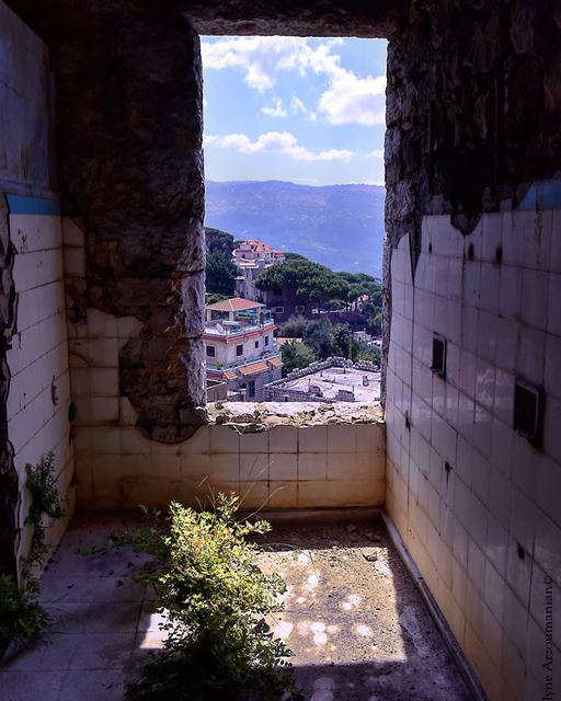 It's all about finding the calm in the chaos... calm  morning  chaos ... (Ra'S Al Matn, Mont-Liban, Lebanon)