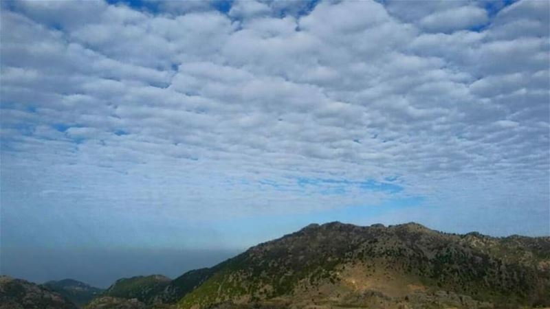 It's all about finding the calm in the chaos.Visit  JabalMoussa! cloud ...