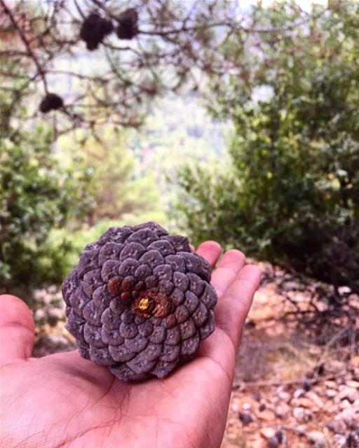 🇱🇧 It’s all about getting back to the nature’s nature 🌿🍂