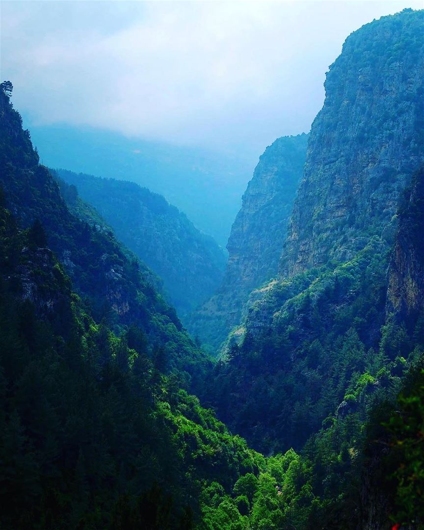It's amazing how beautiful our country is. landscape  nature  hike ... (Ouâdi Qannoûbîne, Liban-Nord, Lebanon)