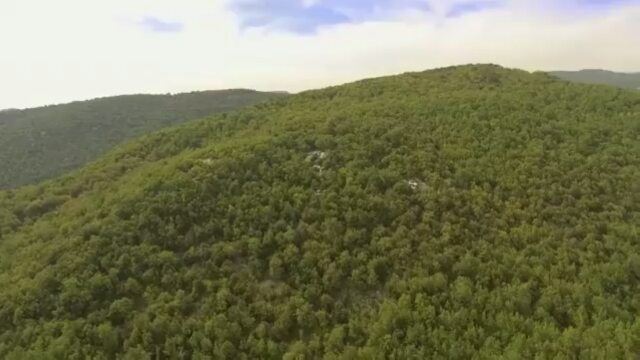 It's in our Nature! 🌳💚@livelove.jezzine @jezzineregion  Jezzine ...