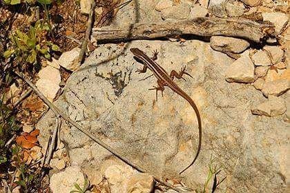 It's Monday, but it's ok~  jabalmoussa  unescomab  unesco ...