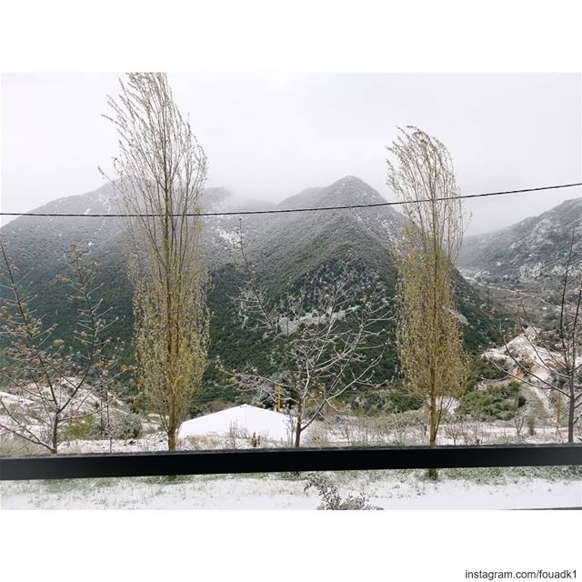 It's more like a white  Christmas than a Happy  Easter in  Lebanon... (Mount Lebanon Governorate)