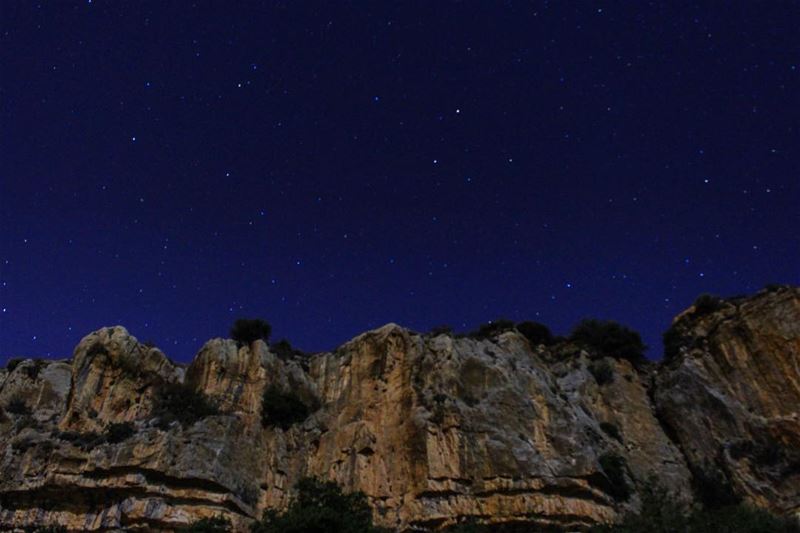 It's not a perfect night if you don't lay on the grass and watch the ✨✨STAR (Bireh-Al Chouf)