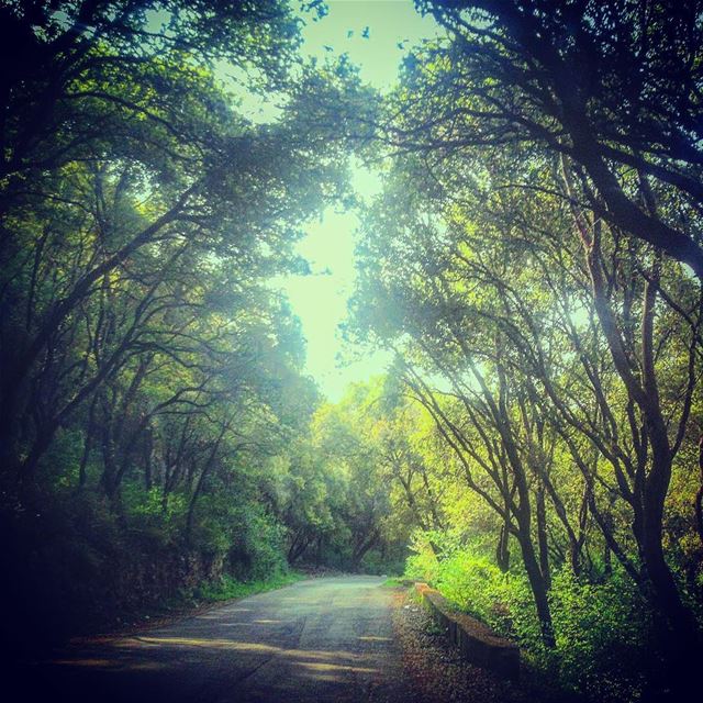 It's not about the destination, it's about the journey.  lebanon  batroun ... (Hamâte, Liban-Nord, Lebanon)