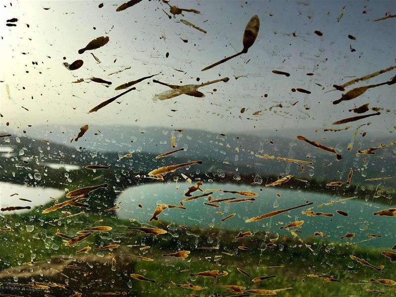 It's not off-road if your windshield doesn't look like this 😎......... (Kfarselwan)