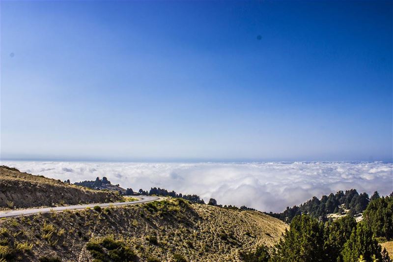 It's not the goodbye that hurts, but the flashbacks that... (El Qâmoûaa, Mont-Liban, Lebanon)