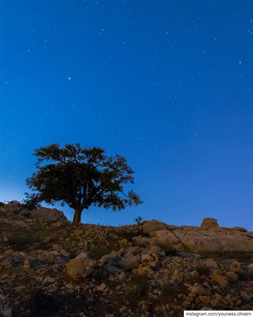 It's not the years in your life that count ...It's the life in your years... (Jezzîne, Al Janub, Lebanon)