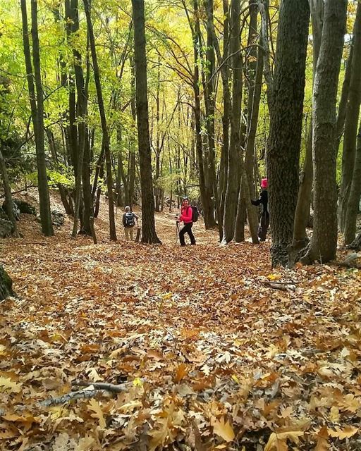 It's only  cold if you're standing still. JabalMoussa  unescomab  unesco...