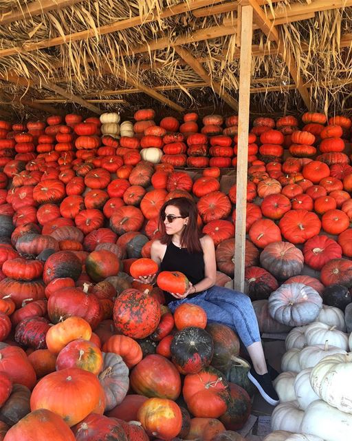 It’s Pumpkin Season ... 🎃 october  autumn  autumncolors  pumpkin  season... (Aâna, Béqaa, Lebanon)