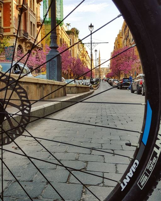 It's Saturday o'clock ⏱It's Bike o'clock..🚲It's You o'clock..💙🍃🌸🍃🌸 (Downtown Beirut)