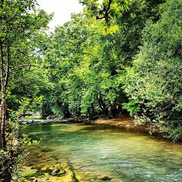 It's Spring! lebanon  spring  damour  nature  river  heaven ... (Damour, Lebanon)