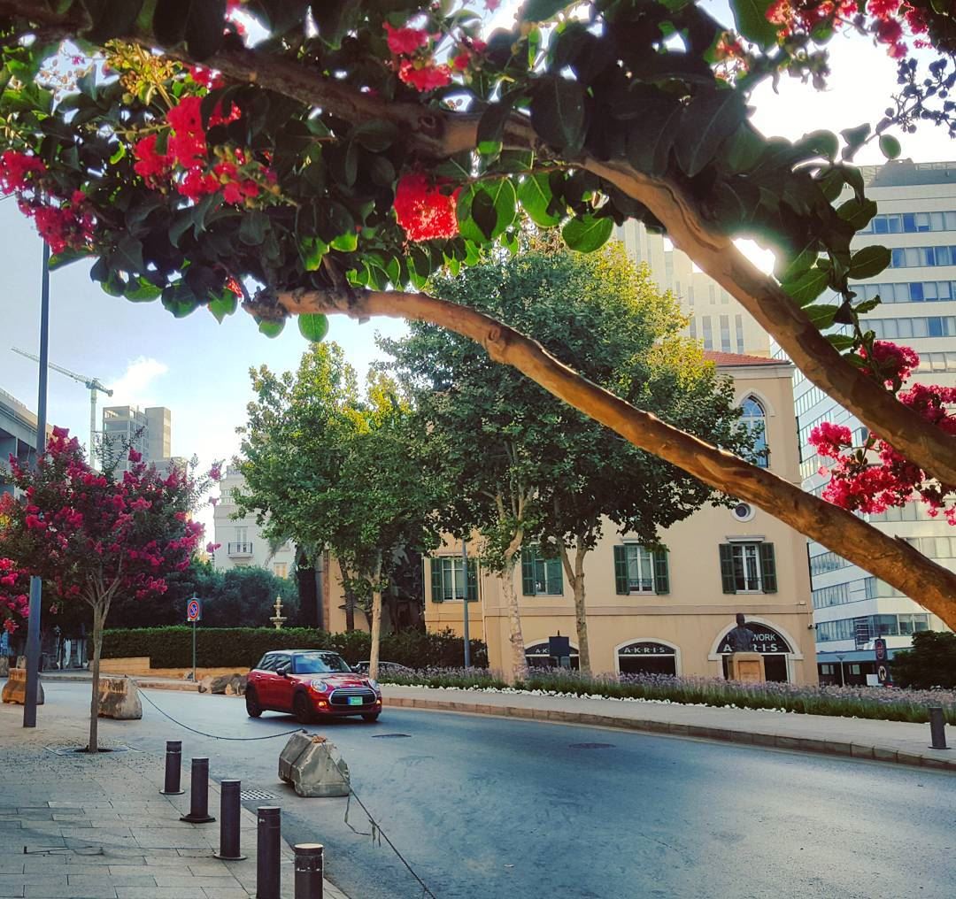 It's the middle of the week..But it's the start of a new day..🌸🌸🌸🌸🌸� (Beirut, Lebanon)