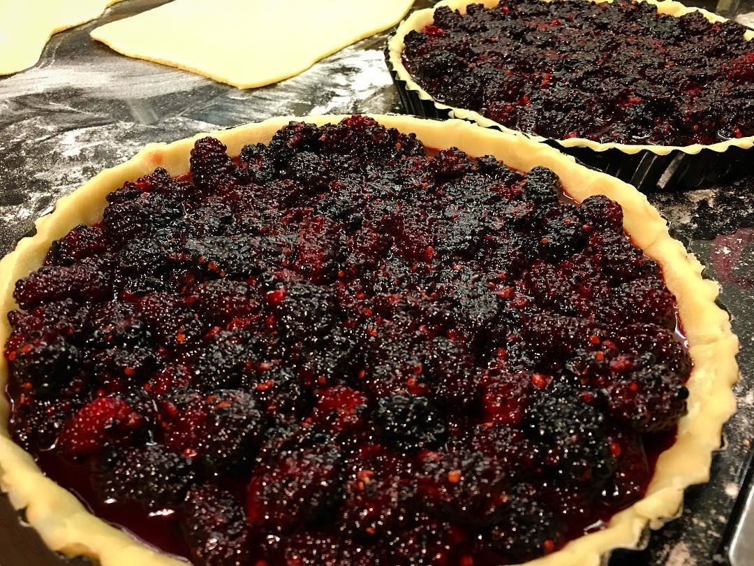 It's the season!. pie  pies  mulberry  mulberries  mulberriespie ... (Beirut, Lebanon)