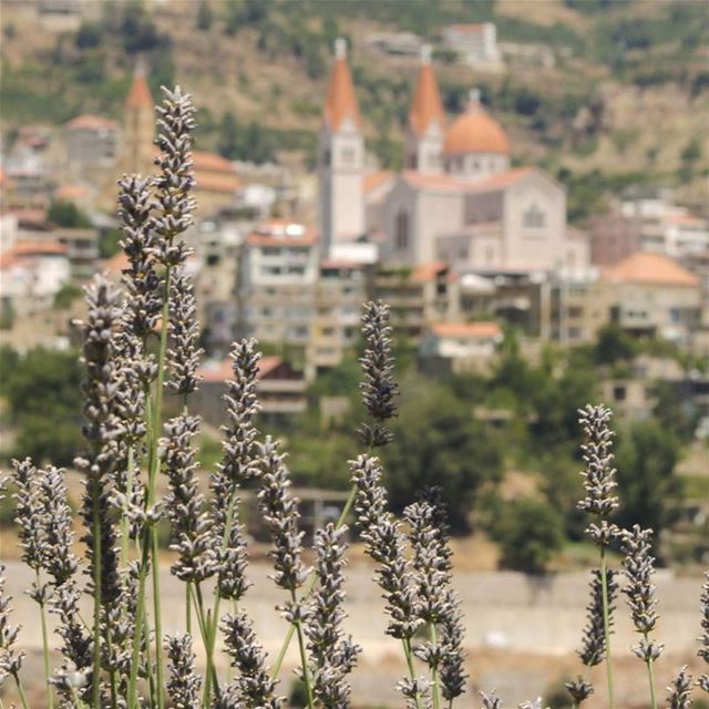 It's the small details that make a real good  roadtrip-------------------- (Bcharré, Liban-Nord, Lebanon)