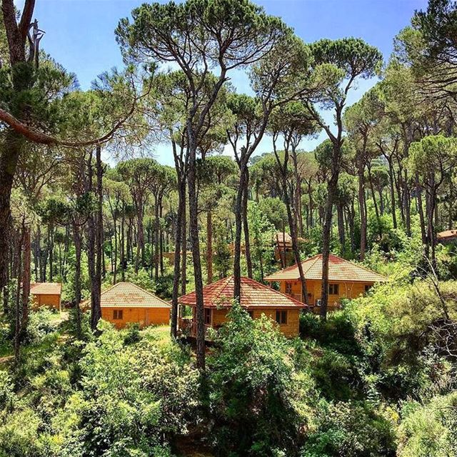 It's time to refuel your soul! 🏡🌳☉Photo credits: @ahmad_habbar ... (La Maison de la Forêt)