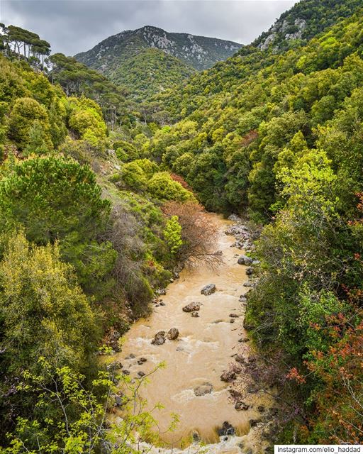 It's too bad to have a marvelous view like this with a dark colored river �