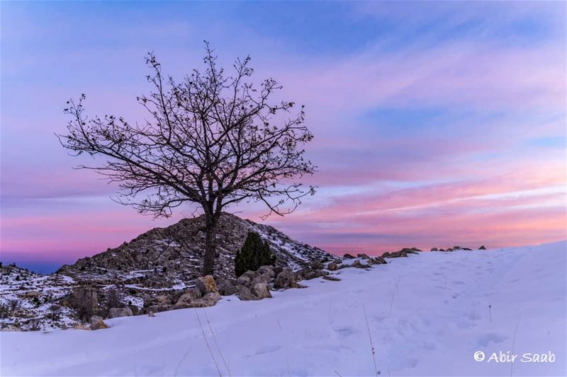 It's written in the Sky... Lebanon  liban  libano  لبنان  bluehour ... (Lebanon)