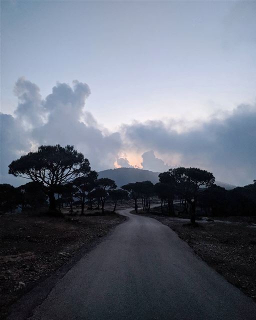 It's your road and yours alone... Others may walk it with you, but no one... (Marj Biskinta, Mont-Liban, Lebanon)