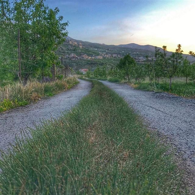 It takes a Village to make me who I am.  Bsharri -->  wheremyshoeslead.... (Bsharri, Lebanon)