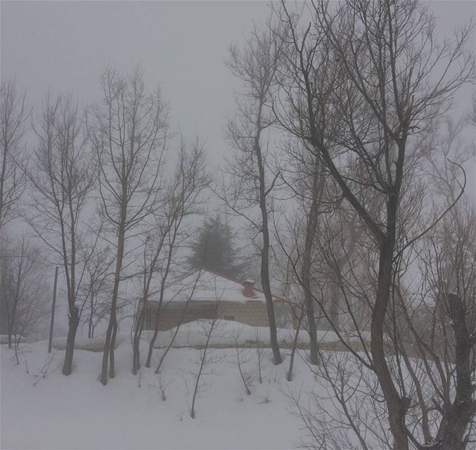 It takes courage to stand alone. house  architectural  architecture  snow... (Laklouk)