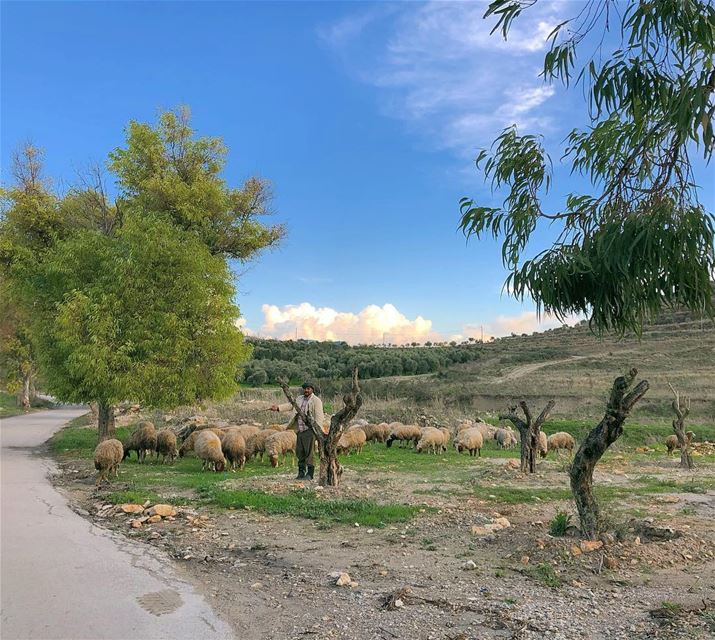 It takes nothing to join the crowd. It takes everything to stand alone.... (Kfar Hazîr, Liban-Nord, Lebanon)