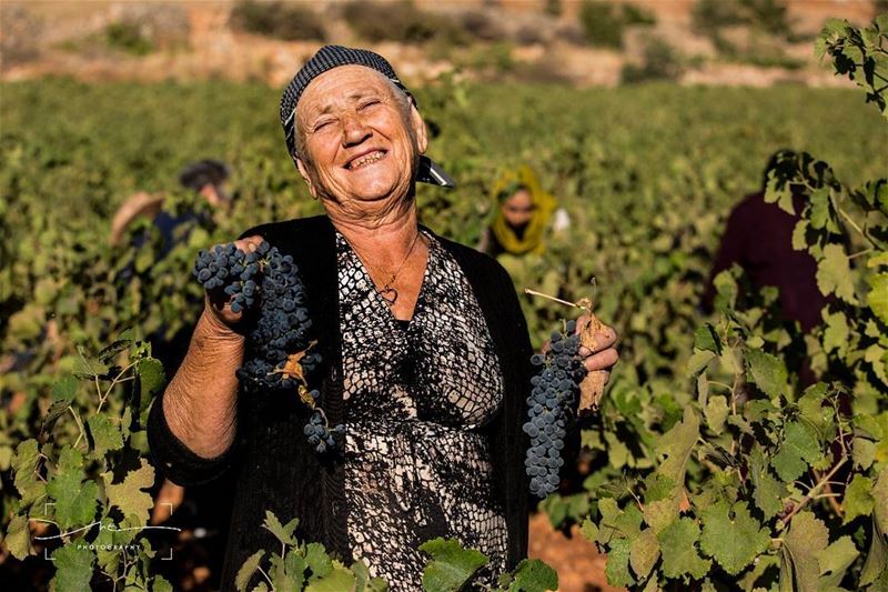 It was a good season,You can tell from her... (Deir el Ahmar)