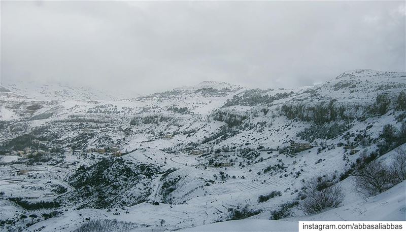 It was a tough trip to reach the top of this hill. The wind was blowing... (Lebanon)