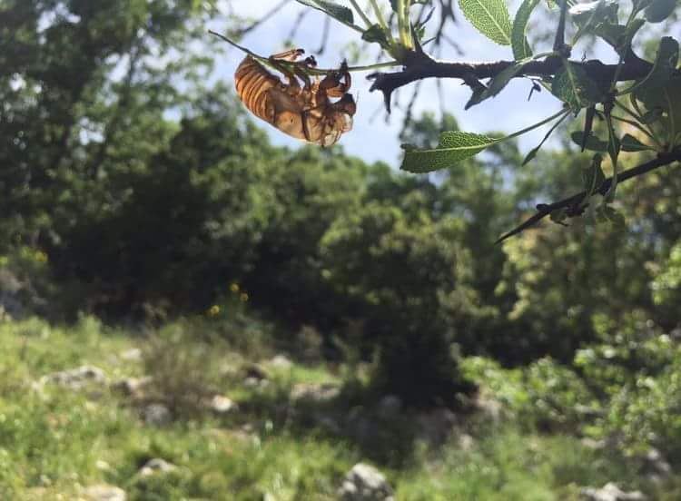 It was nice meeting you in  JabalMoussa today! livelovejabalmoussa ...