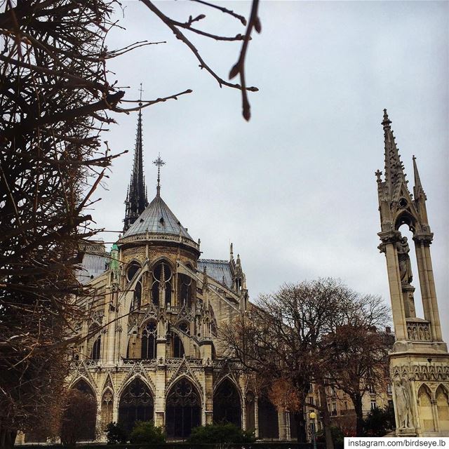 It will be back more beautiful 🙏🏼 | 2016...━ ━ ━ ━ ━ ━ ━ ━ ━ ━ ━ ━ ━ ━ (Cathédrale Notre-Dame de Paris)