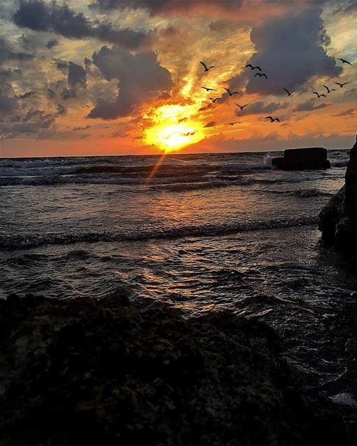 “ It Will Be Good To See You Again,But Something Inside Of Me Has Not Died... (Batroûn)