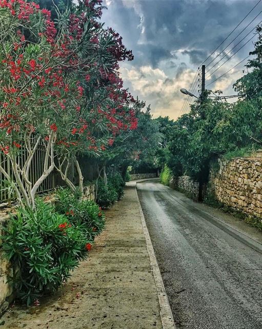 It will never rain roses, when we want to have more roses we must plant... (Byblos, Lebanon)