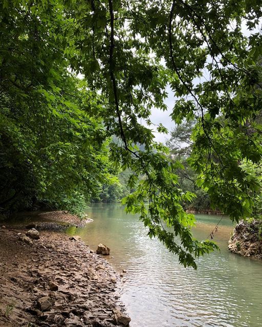 Jabal Moussa Biosphere Reserve (2/3):  JabalMoussa, part of the  UNESCO... (Jabal Moussa Biosphere Reserve)