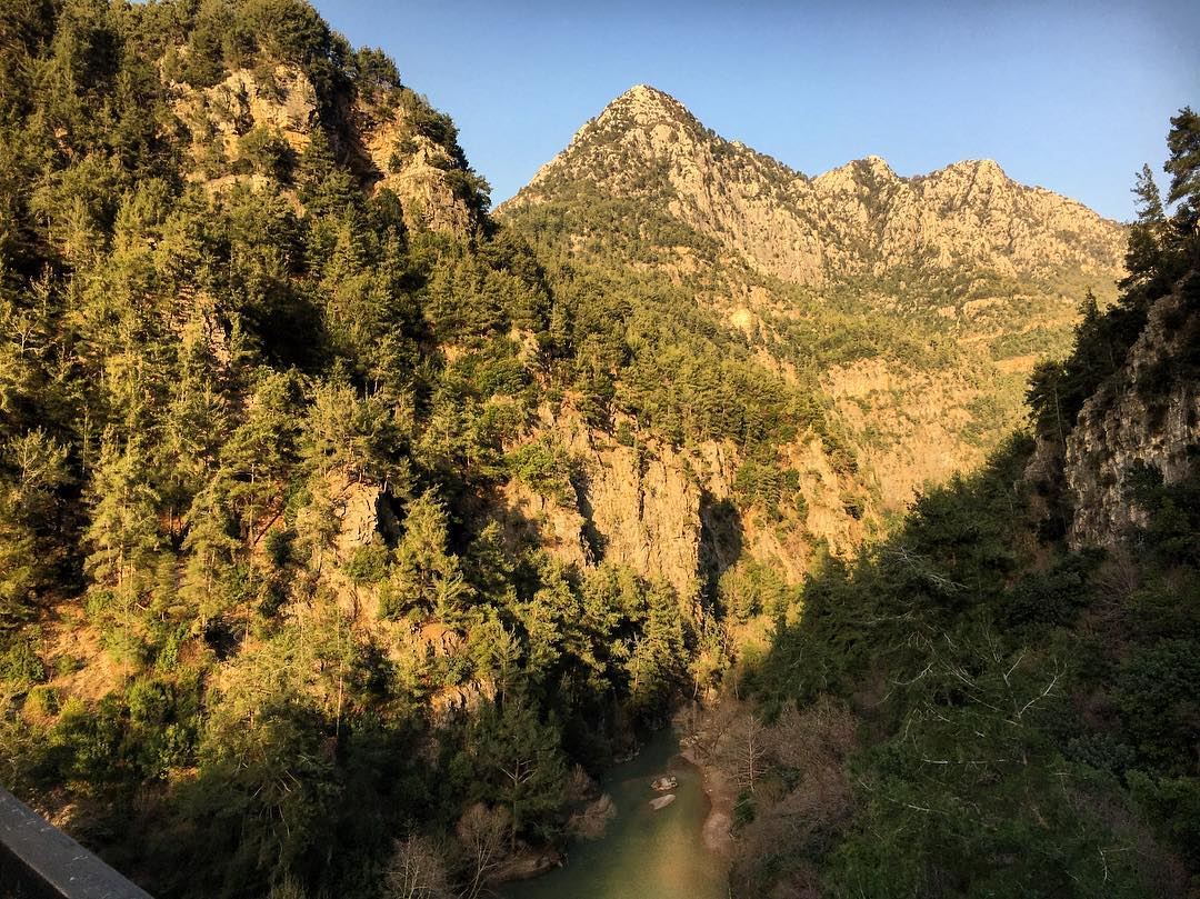 Jabal Moussa Reserve 🇱🇧 lebanon  lebanon_hdr  jbeil  picooftheday ... (Chouène, Mont-Liban, Lebanon)