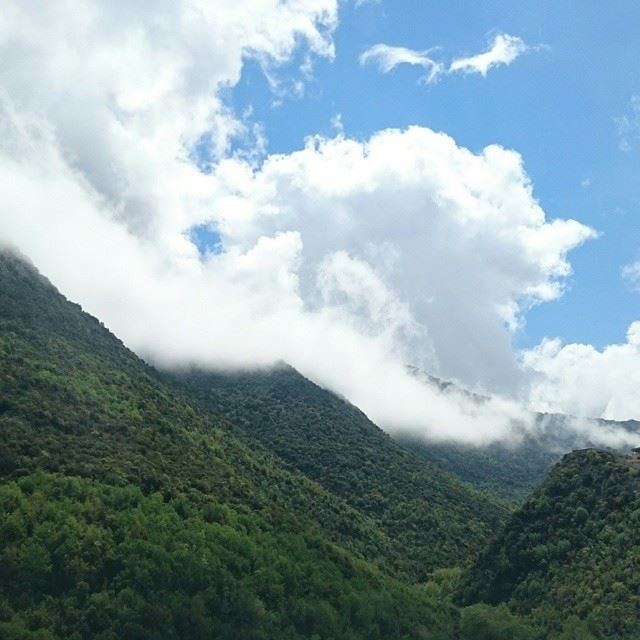  jabalmoussa  nofilterneeded.  nature  lebanon  sublime  mountains  green ...