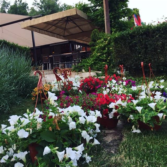 @jalsat_restaurant -  Summer vibes 🌸🌸🌼🌼🌝🍄☀️  summer ... (Jalsat)