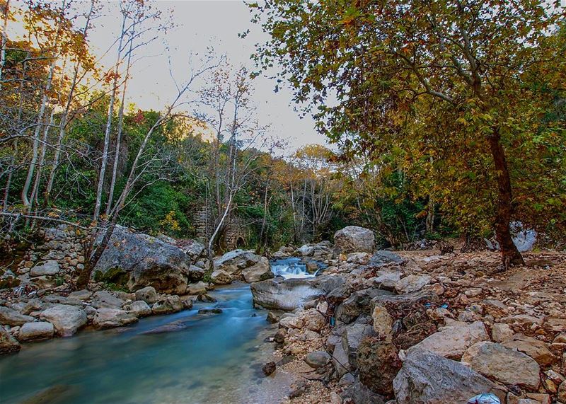  janne  lebanon  qartaba ... (Janné, Mont-Liban, Lebanon)