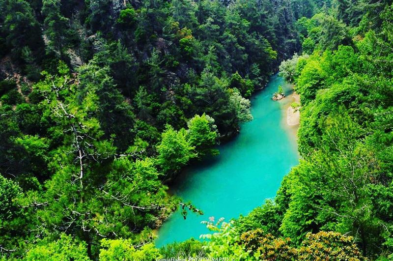 Jannet Chouwen, is one of the most picturesque places in Jbeil Caza, the... (Chouwen Lake)
