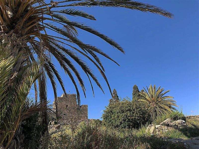  jbeil  byblos  livelovebyblos  livelovejbeil  lebanon ... (Byblos, Lebanon)