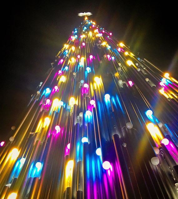  Jbeil even more  magical every  season christmas  tree  colorful  lights...