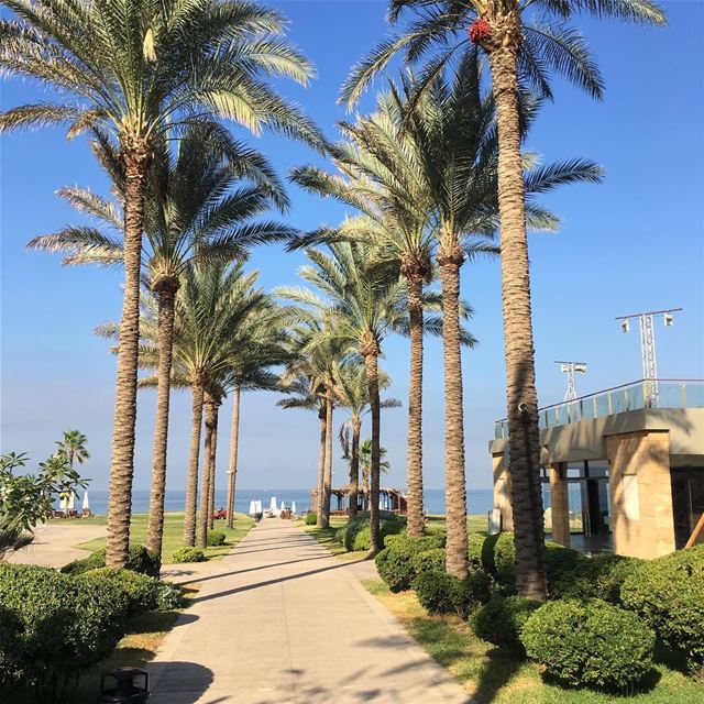  jbeil  nature beach explore livelovelebanon  mediterranean  instagram ... (Plage Des Rois)